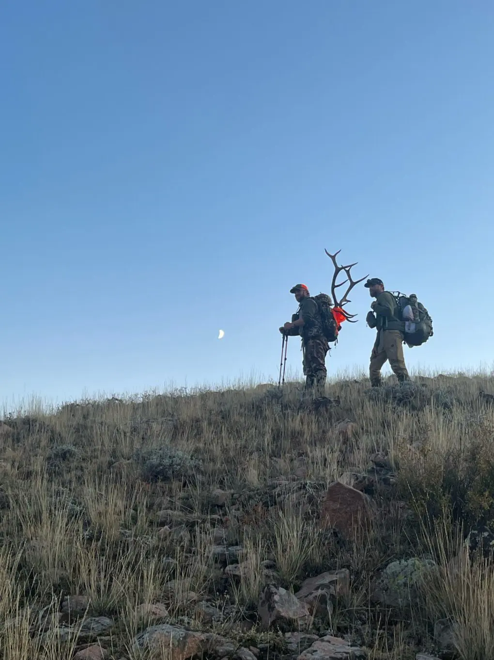 Hunters Packing out an elk AEH » Outdoors International Hunters packing out an elk