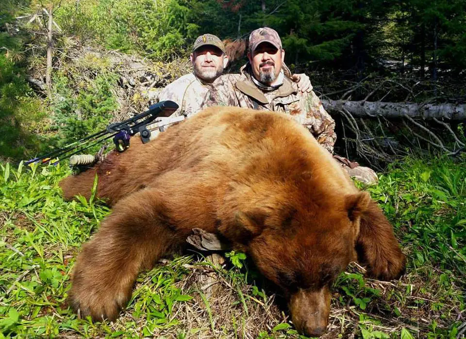 idaho spring black bear hunting