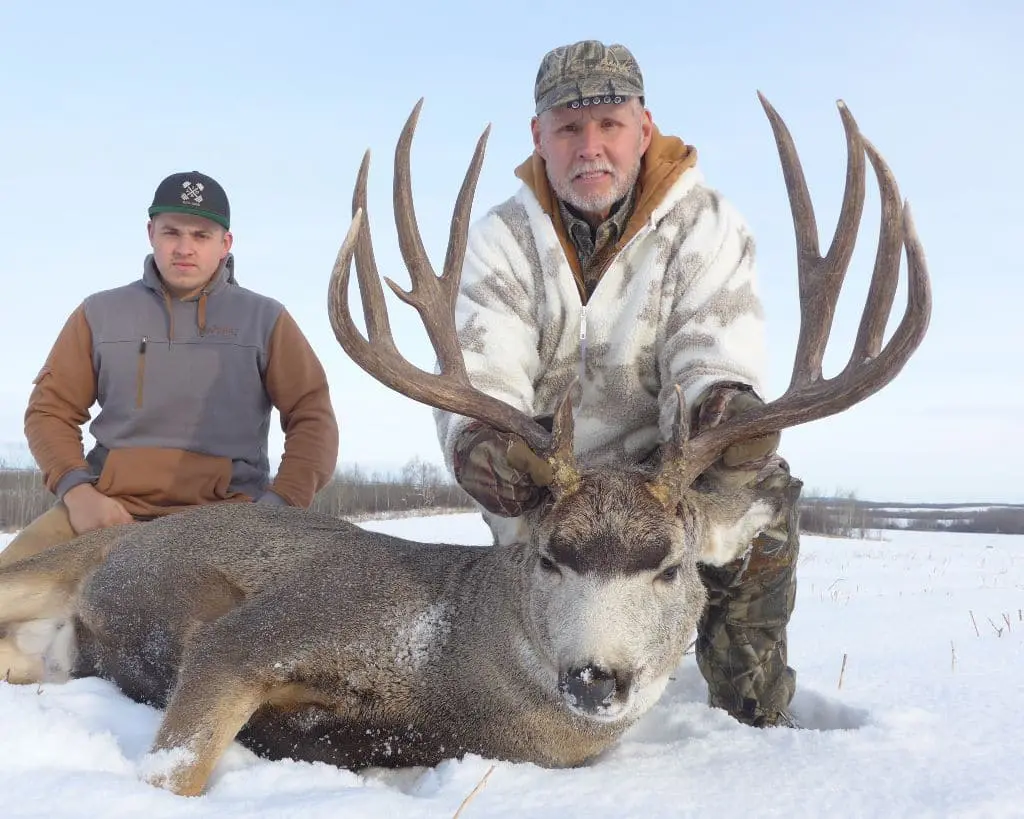 Mule-Deer-Hunting-Alberta-Canada-GWH » Outdoors International This buck has it all. Width, tine length, eye guards, mass, and a good main beam. SHOOT!