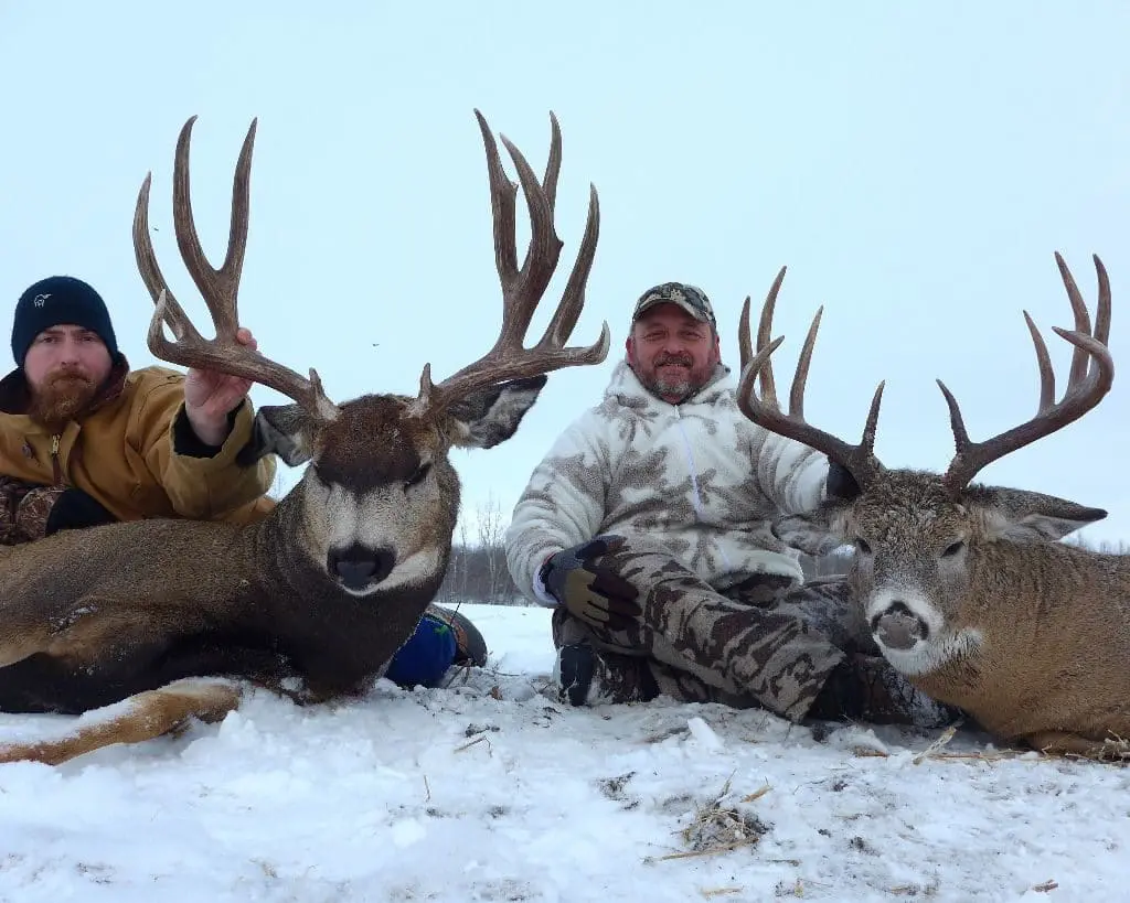 Mule Deer whitetail Combo Hunting Alberta Canada GWH » Outdoors International Combo deer hunting in Alberta