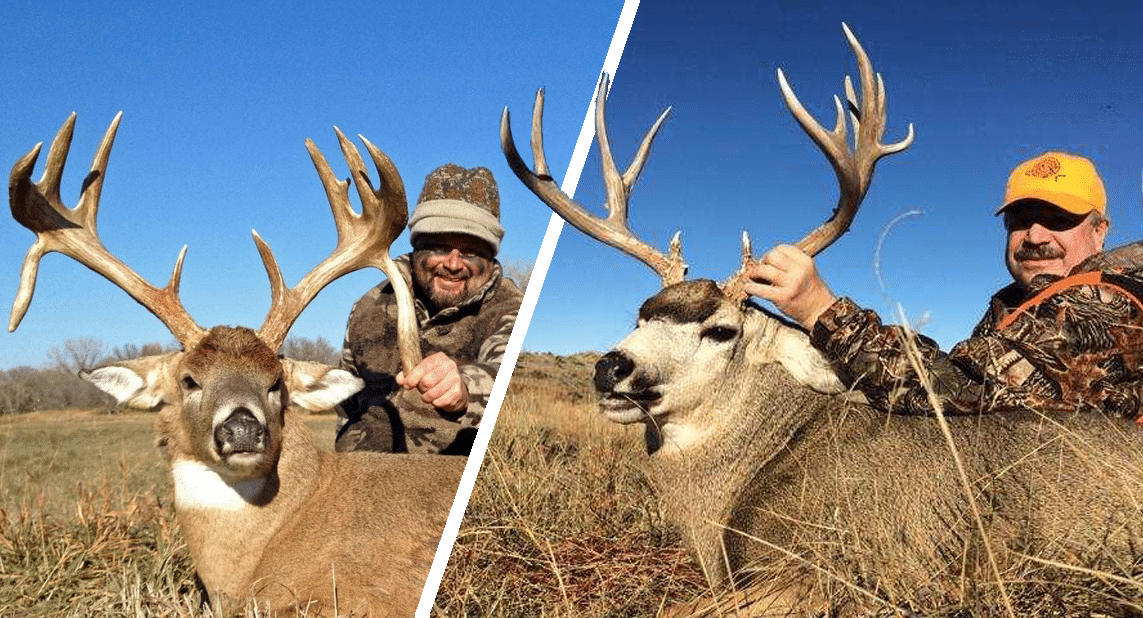 Nebraska-Whitetail-and-Mule-Deer-Hunts-BAO1.png » Outdoors International nebraska deer hunts