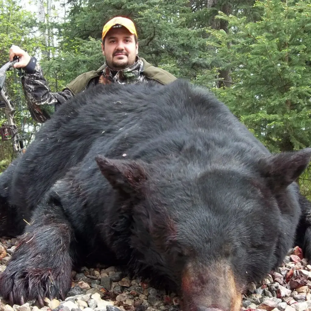 Saskatchewan Black Bear LLO2 » Outdoors International Trophy Saskatchewan bear hunts
