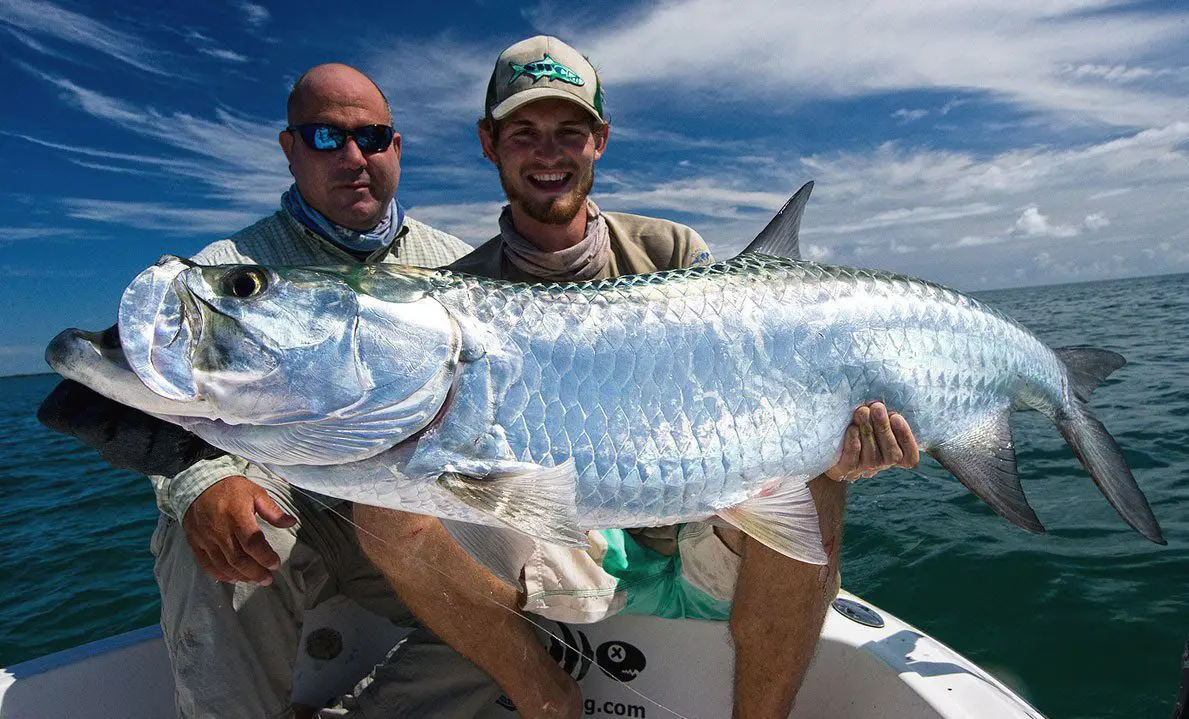 Tarpon fishing in Costa Rica