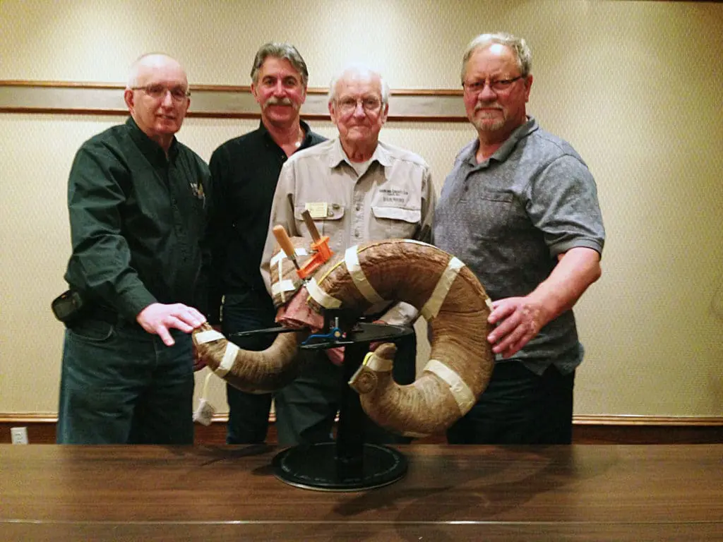 world record rocky mountain bighorn sheep