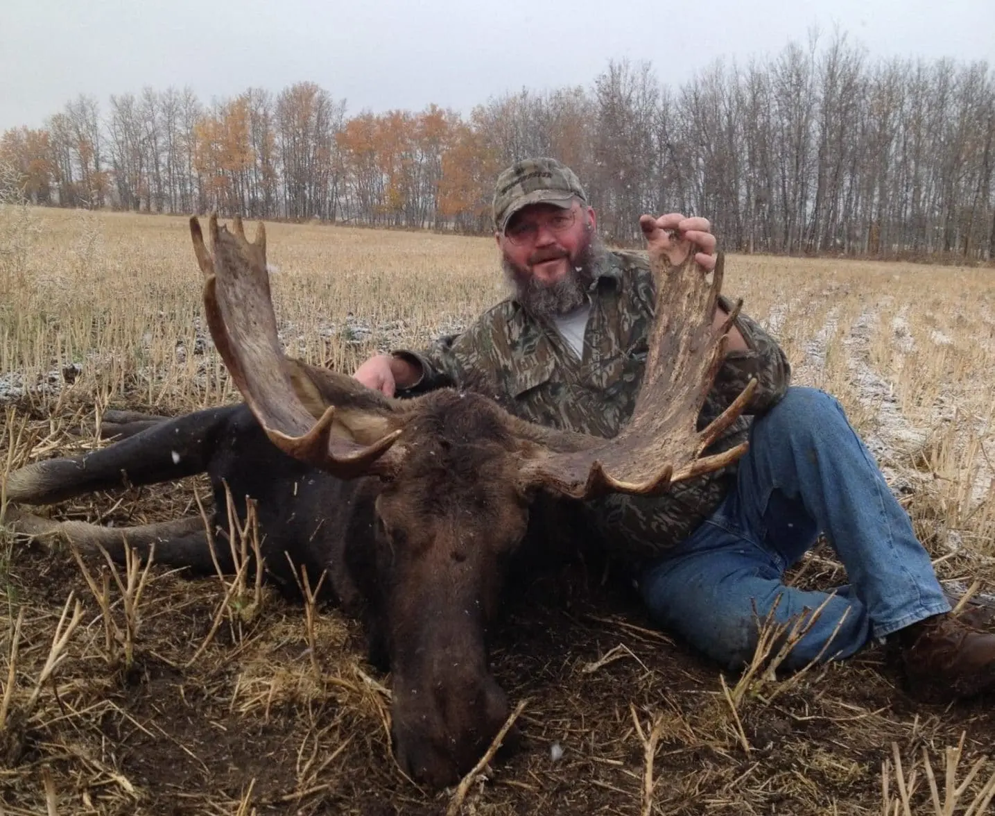 Alberta Moose LO4 » Outdoors International alberta farmland moose hunt
