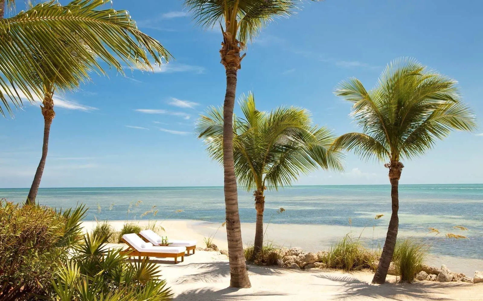 Visit Florida