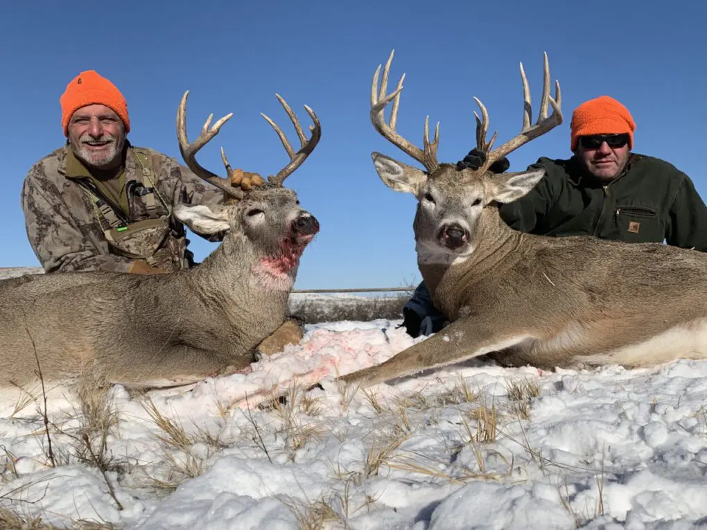 MBGO2-Montana-Whitetail-Deer-Hunts-IMG_9242-1270x953 » Outdoors International
