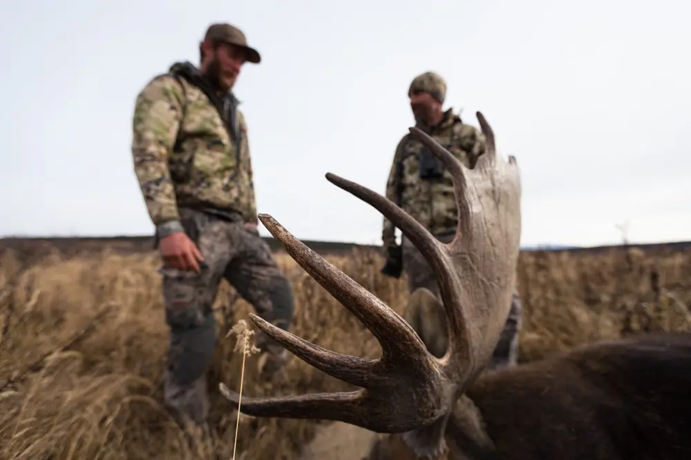 Northern British Columbia Guided Moose Hunts BBCB1 » Outdoors International A successful moose hunt is an unbelievable experience.