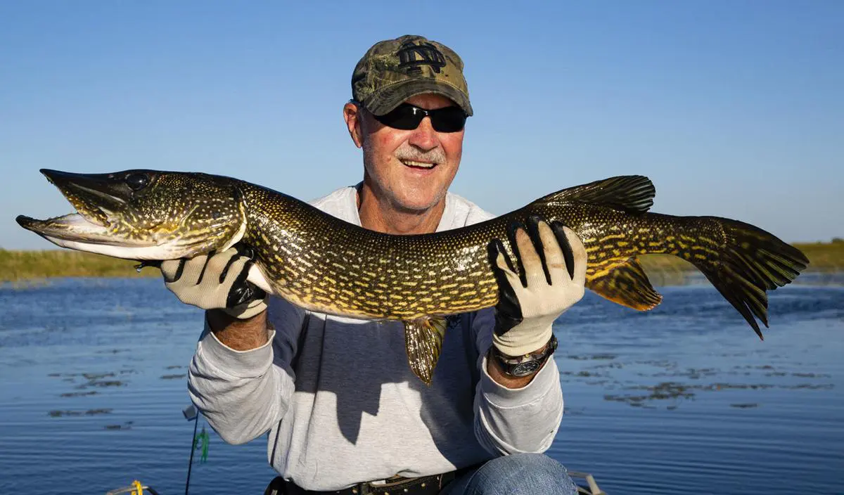 Pike Fishing in Nebraska