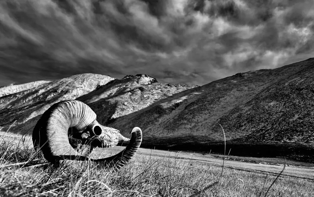 Tajikistan Marco Polo Skull Deadhead Scenery ARQ1 » Outdoors International Tajikistan Marco Polo Hunting in the Wakhan Corridor