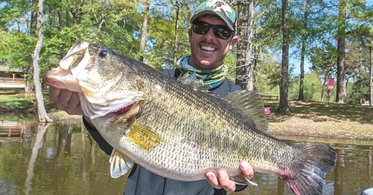 Texas has some of the best damn bass fishing in the world.