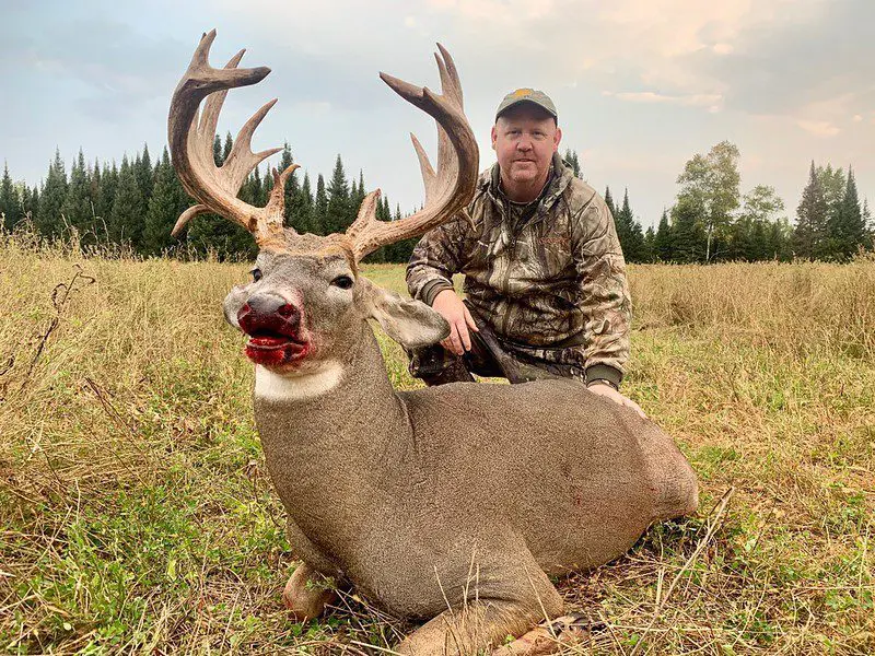 TLR High Fence Deer Hunting Estate » Outdoors International Wisconsin Whitetail Deer Hunts