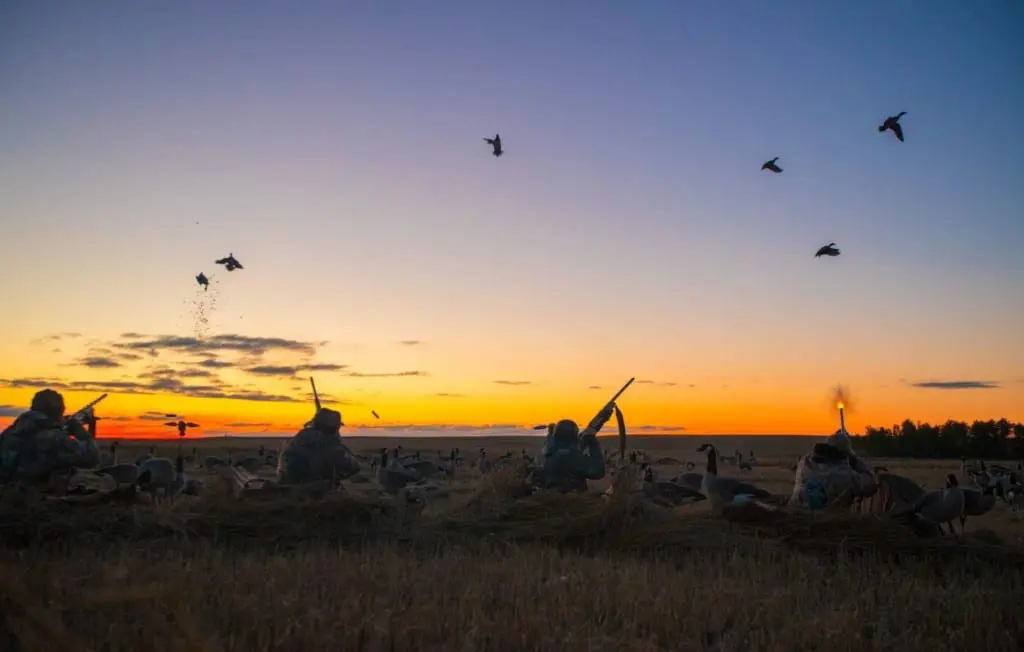 how to hunt waterfowl