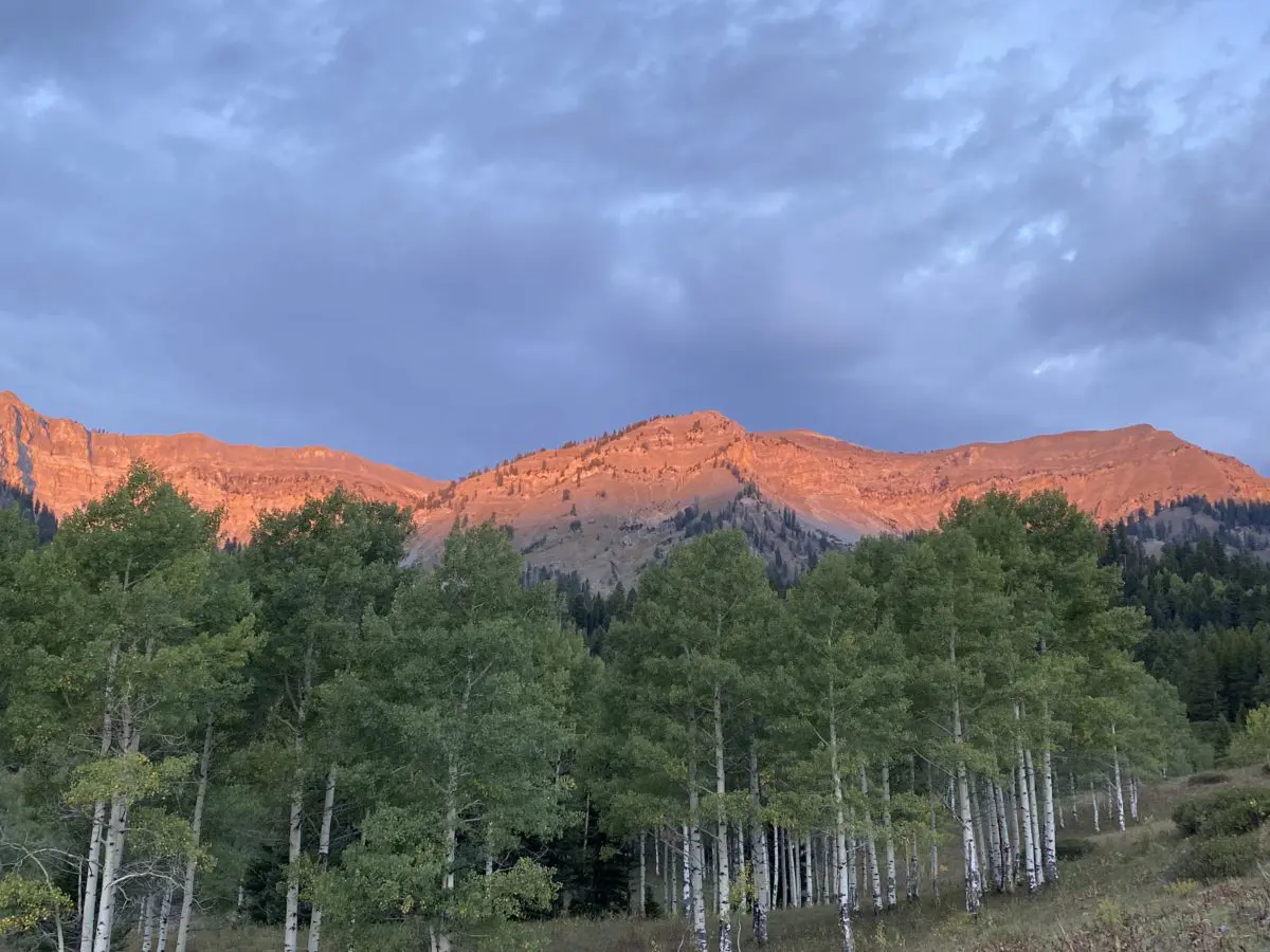 Wyoming Elk Country in September