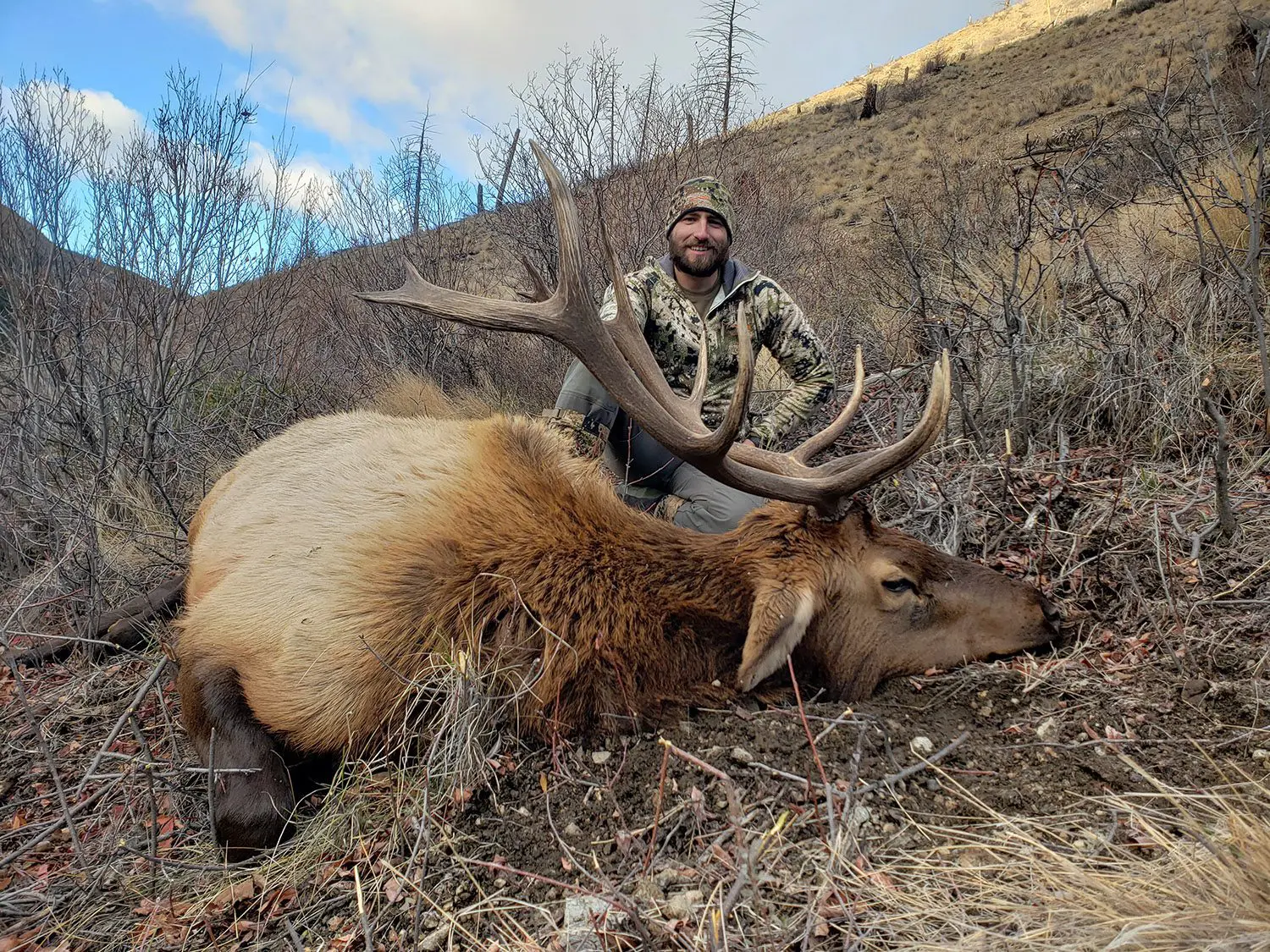 Kyle Hanson Idaho Elk Wilderness Frank Church WMO1 Wilderness Mule 2021 » Outdoors International Kyle's first elk was taken in the Frank Church Wilderness Area.