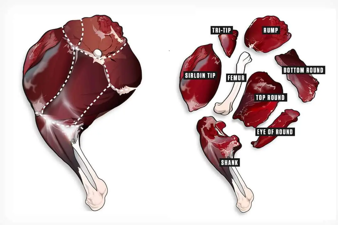 how to cut up the hind quarter of a deer