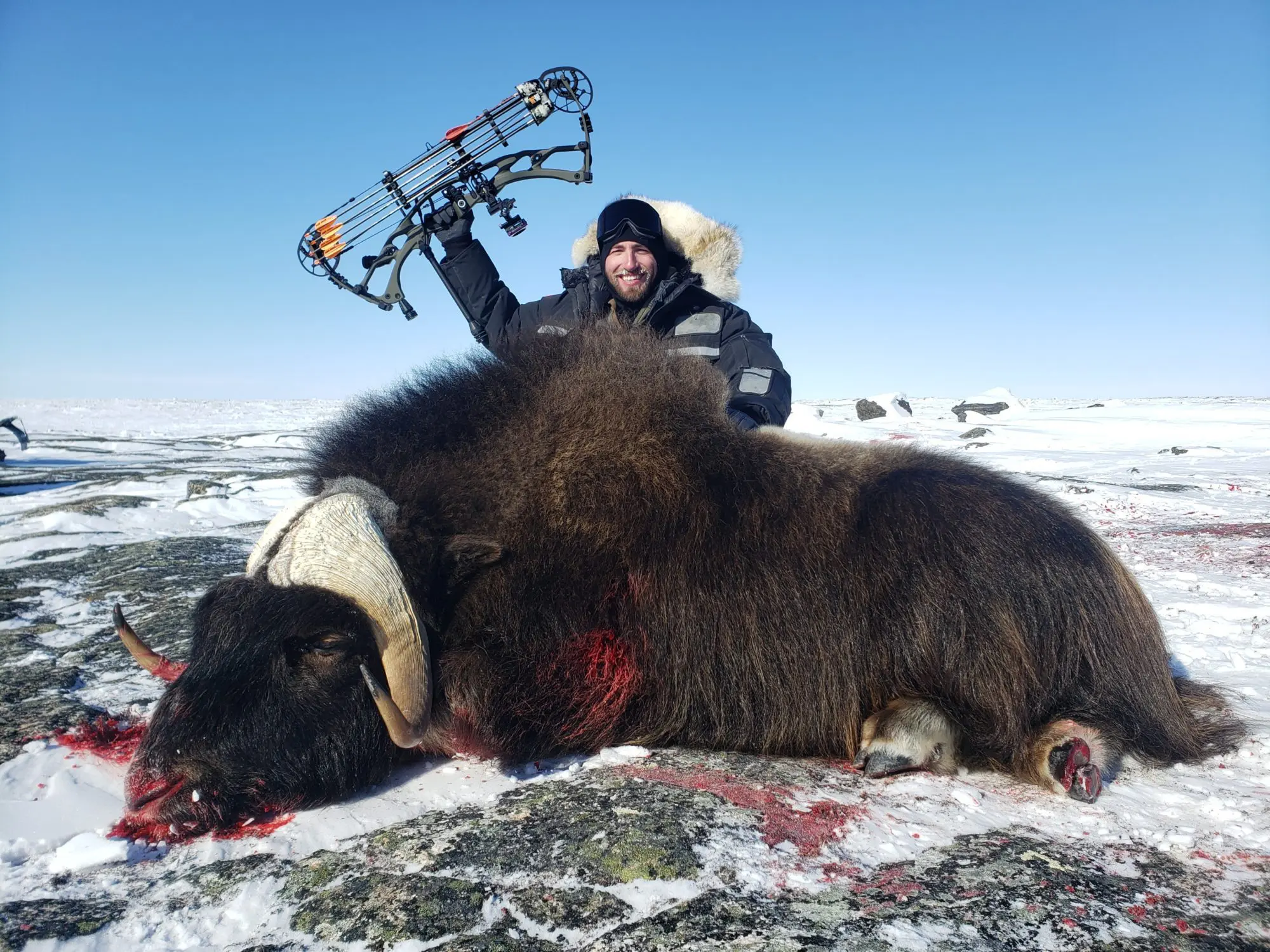 Kyle Hanson Nunavut Canada Arctic Barren Ground Muskox Archery CNO1 » Outdoors International Kyle Hanson with his archery Barren Ground Muskox taken with our Premier Nunavut muskox hunting outfitter.
