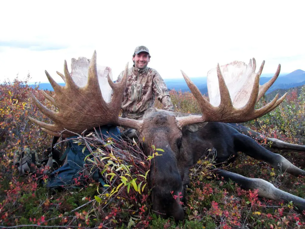 Alaska Wrangell Mountains Guided Moose Hunt AOU4 » Outdoors International Trophy Moose Hunts in the Wrangell Mountains