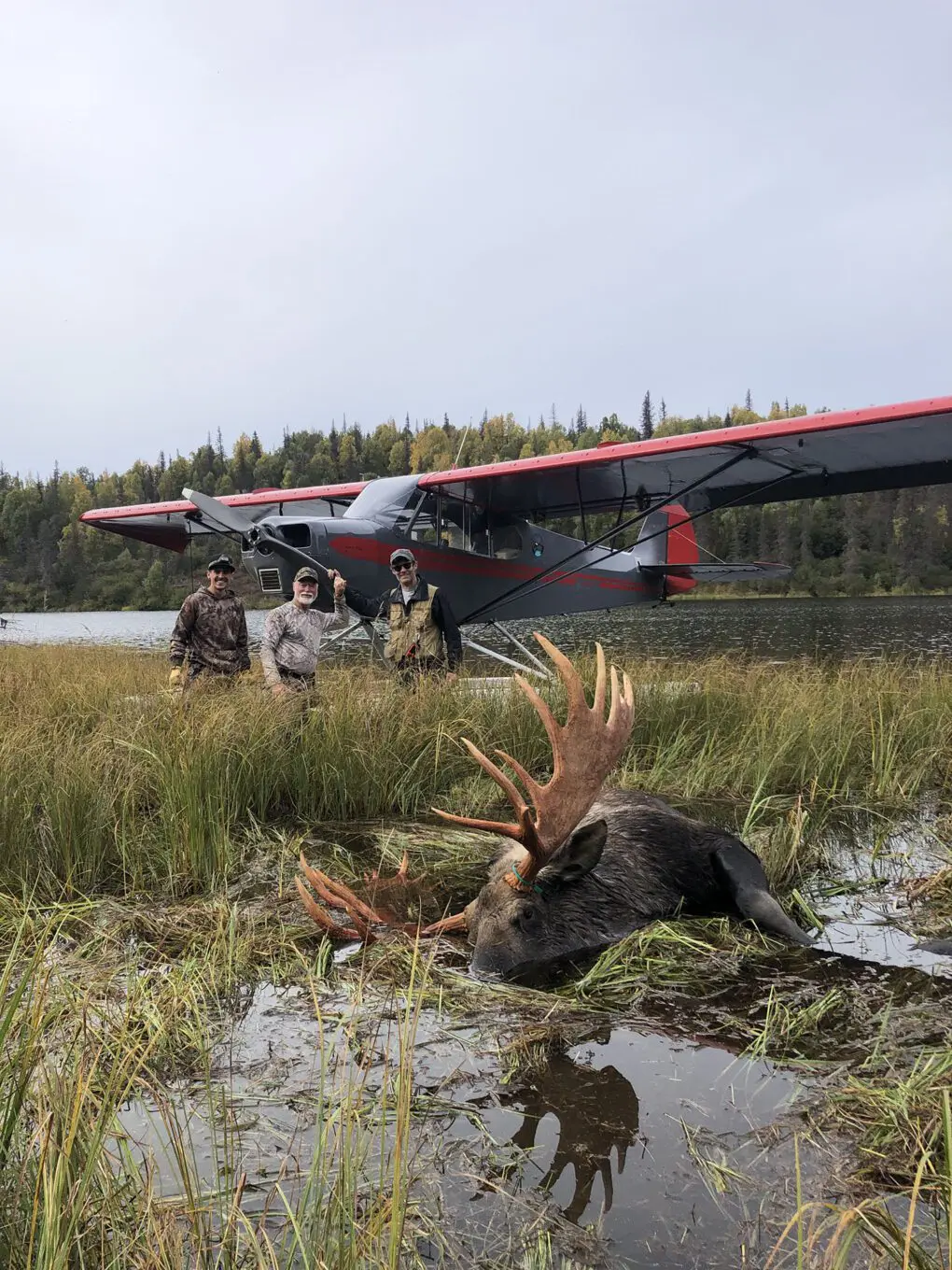 Moose Float Plane Hunters Lake SLO » Outdoors International Moose hunting in Alaska is an adventure you'll never forget!