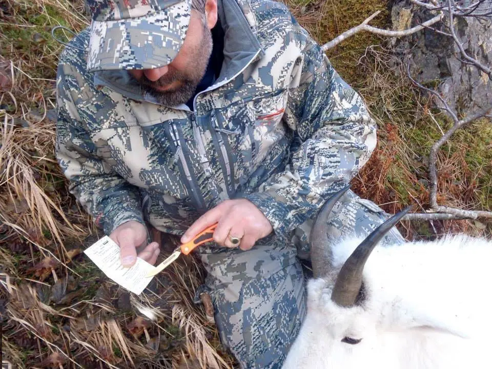 Tagging Hunter Mountain-Goat-hunting-Alaska-RE » Outdoors International Tagging a mountain goat