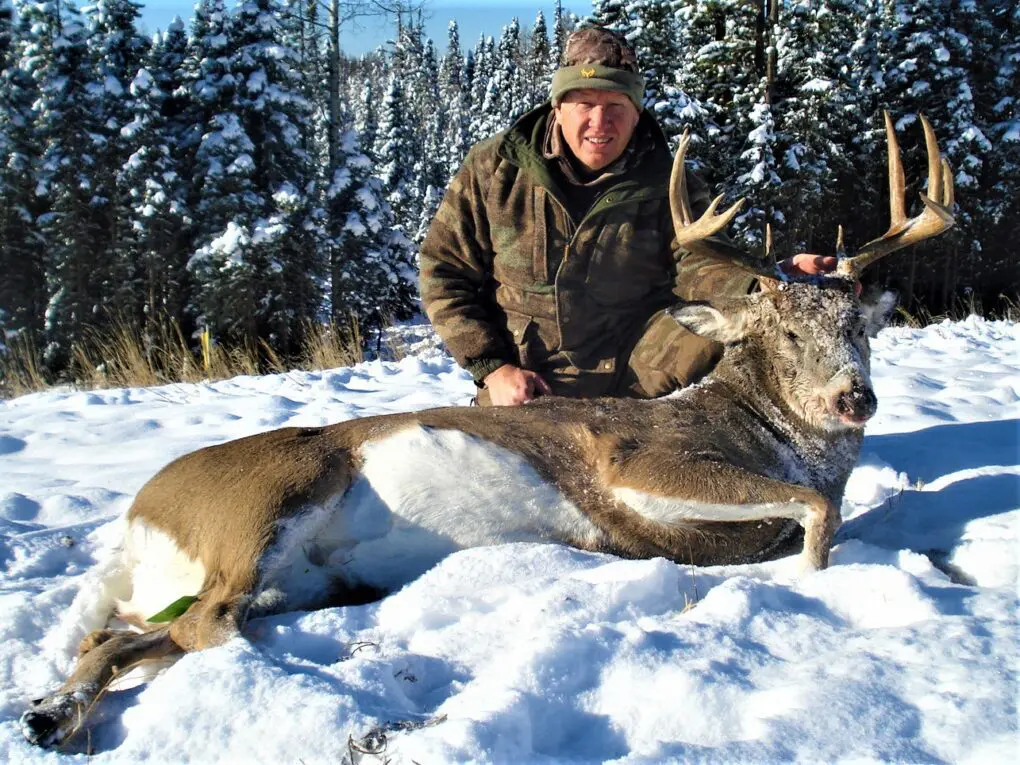 Alberta Whitetail Hunt LWO2 (5) » Outdoors International The prime season for a white-tailed trophy hunt in Alberta is during the rut, in November.
