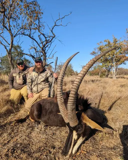 Justin Harkins Client South Africa Sable DwHS » Outdoors International Justin and a nice sable he took in South Africa.