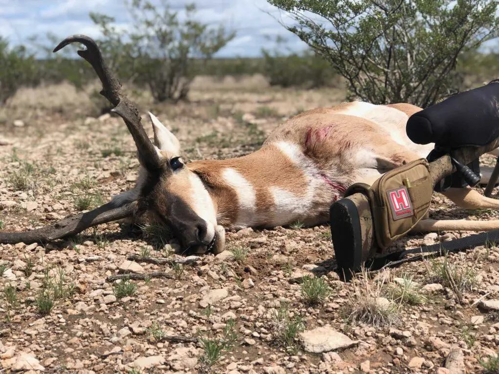 OI client Mark Sij took a beautiful antelope in New Mexico with one of our premier outfitters.