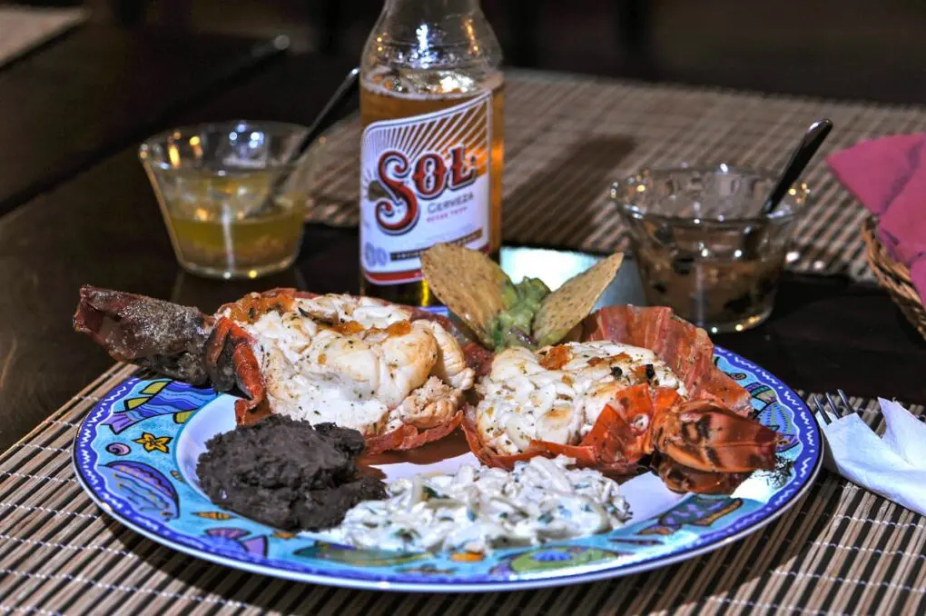 Meal Lobster Bear KFL ยป Outdoors International The food is great, the beers are cold, and the guide staff includes some of the finest guides in the entire area!