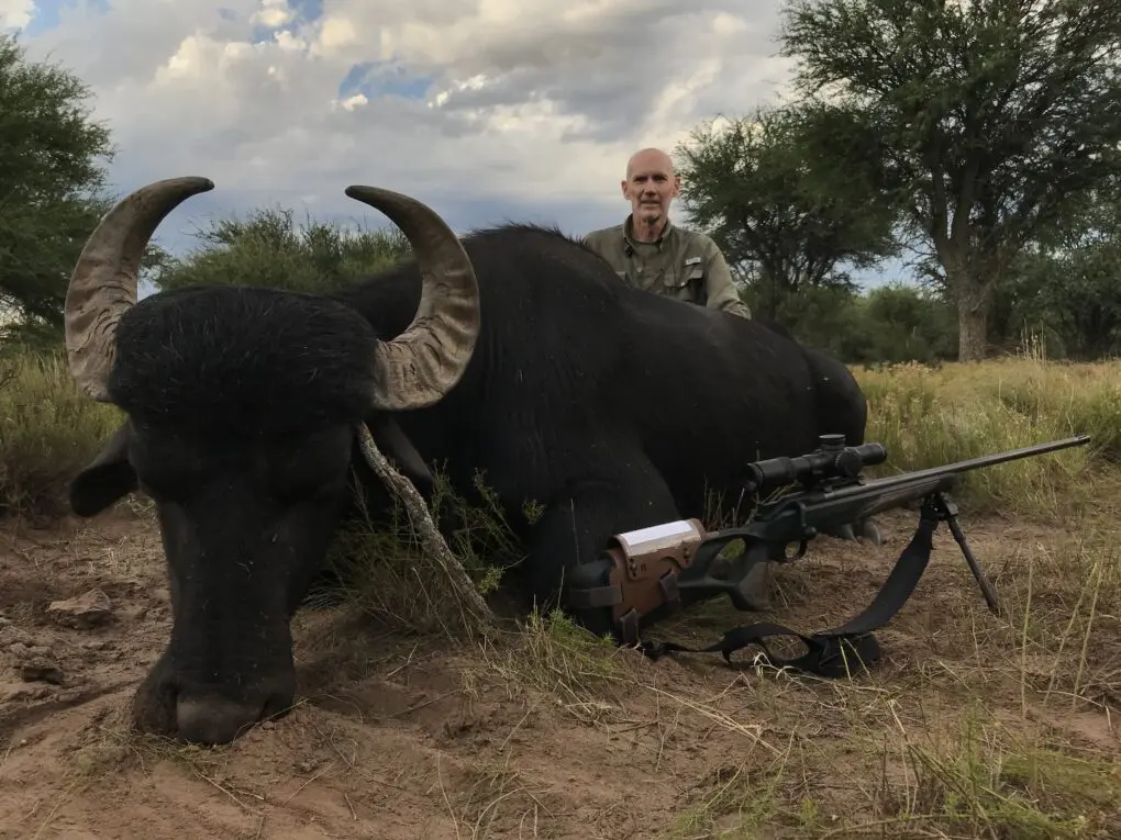 Even though Austin and I did not harvest a red stag, we were very satisfied with our harvest of a water buffalo and blackbuck antelope.