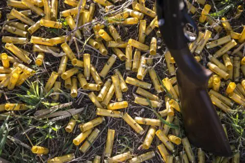 Spent sheels argentina dove hunt TGB » Outdoors International Argentina dove hunting