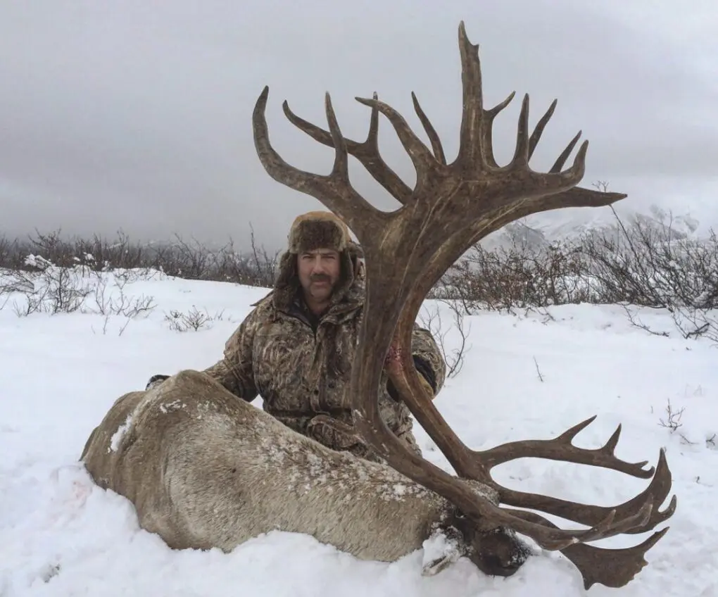 BBCB6 Yukon Mountain Caribou » Outdoors International The late season Yukon caribou hunt produces some exceptional bulls.