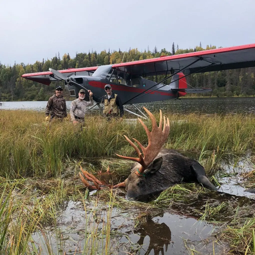 DIY Moose Hunting in Alaska Hunters Plane SLO » Outdoors International Moose hunting in Alaska