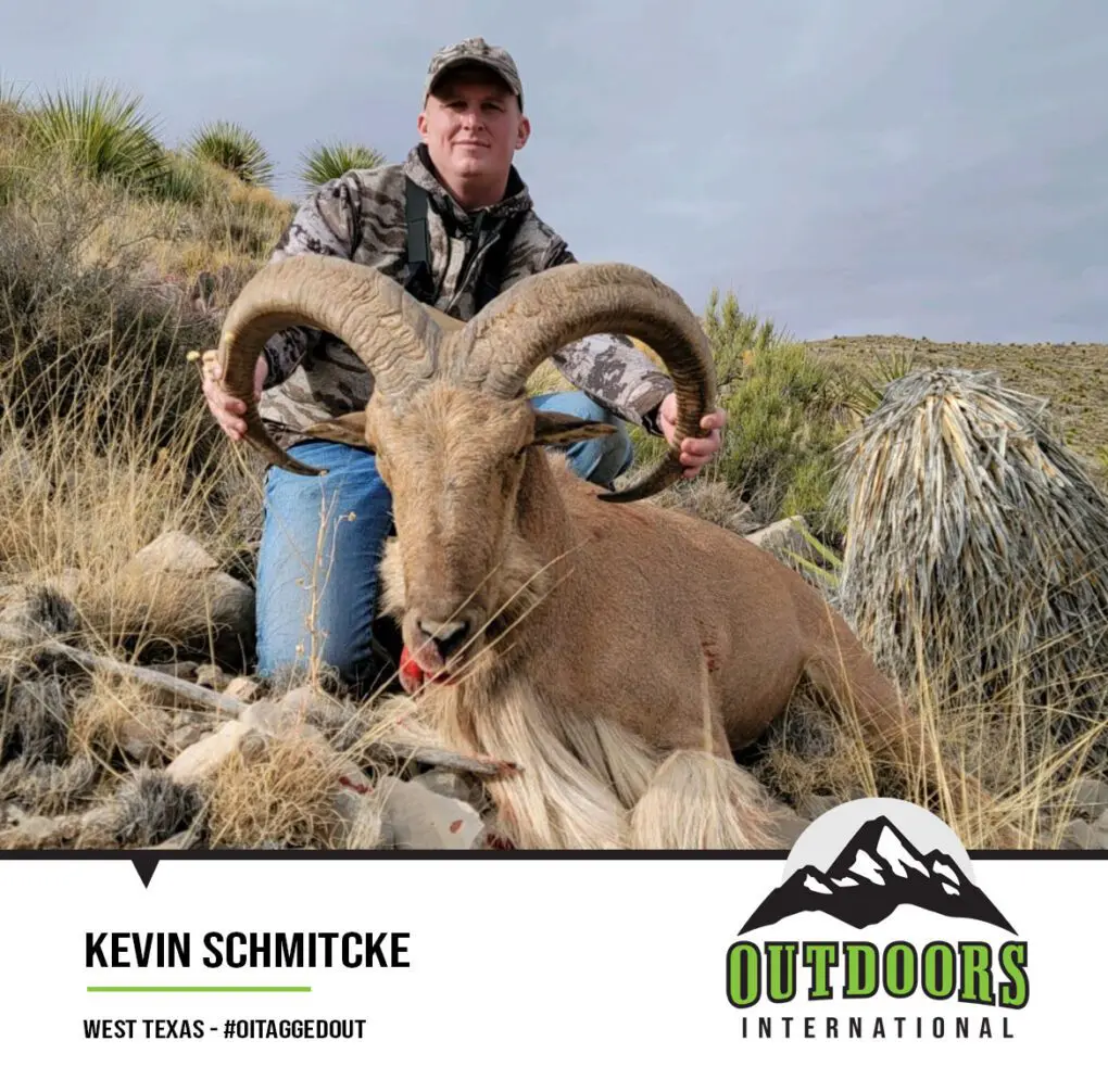 OITAGGEDOUT Kevin Schmitcke West Texas Aoudad K9CO » Outdoors International #oitaggedout