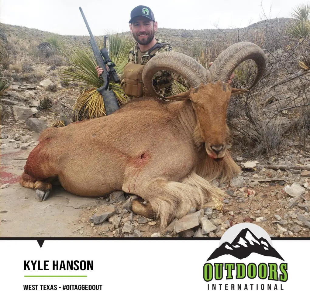 OITAGGEDOUT Kyle Hanson West Texas Aoudad K9CO » Outdoors International #oitaggedout