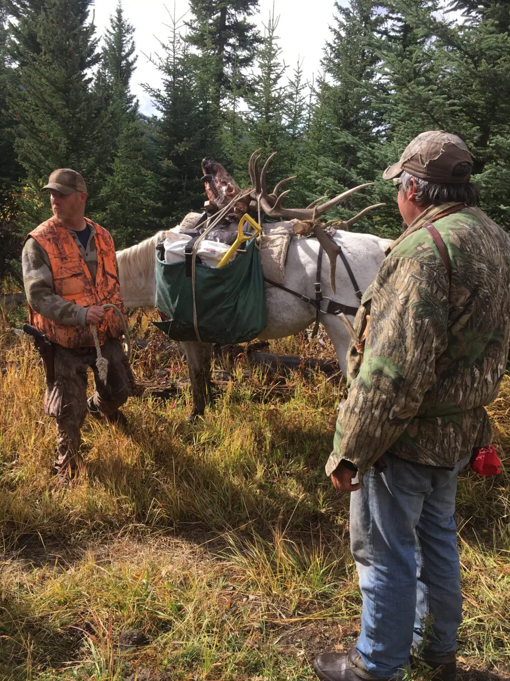 Montana elk BPO - horse packing » Outdoors International Horseback, pack-in Montana elk hunts in the West Pioneer Mountains, Big Hole Valley.