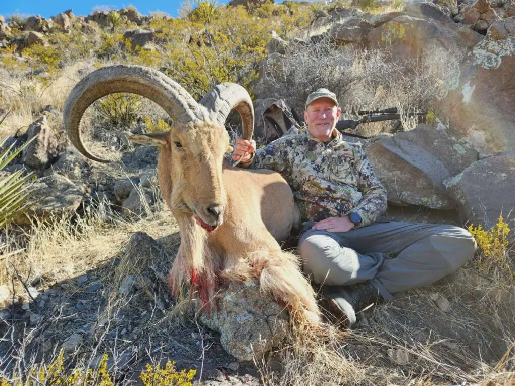 K9CO2 New Mexico Aoudad Hunt WhatsApp Image 2023-02-12 at 65821 PM » Outdoors International Free Range aoudad hunts in New Mexico
