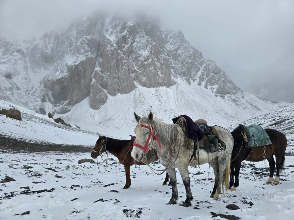 Hunting on Horses in Kyrgyzstan ARQ » Outdoors International Hunting on Horses in Kyrgyzstan