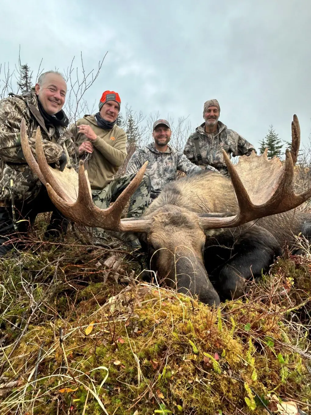 Franck with a great bull