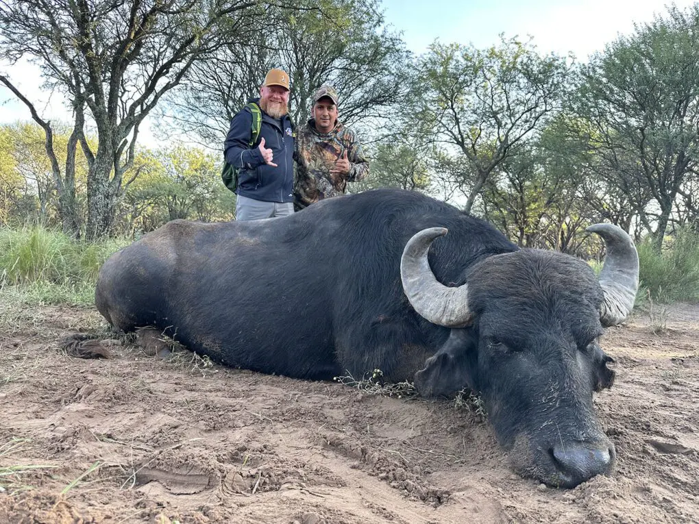 Argentina TGB 2025 Branden Smalley Client Water Buffalo » Outdoors International Branden's giant Argentina water buffalo