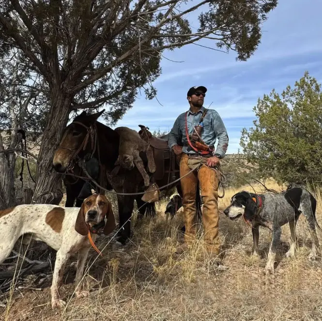 Arizona hound hunts