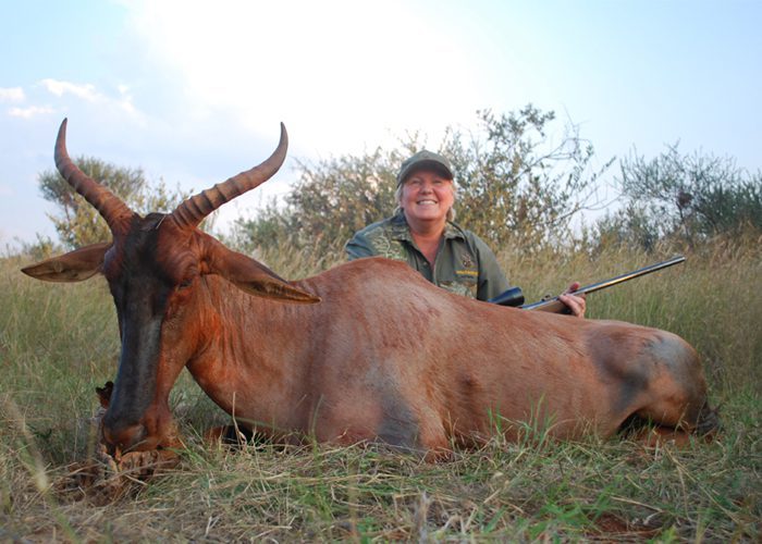 Tsessebe hunting