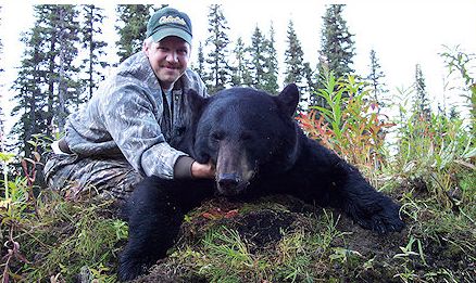 Alaska Black Bear » Outdoors International Black bear hunting in Alaska