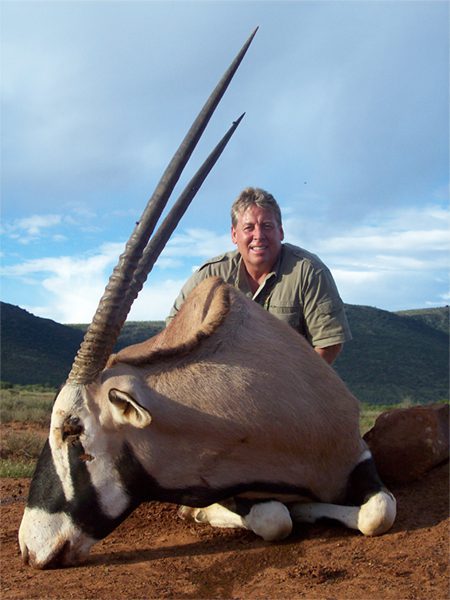 A big bull gemsbok