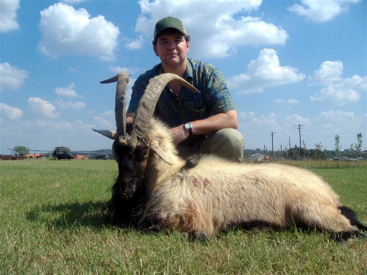 Hunting Ibex in Texas