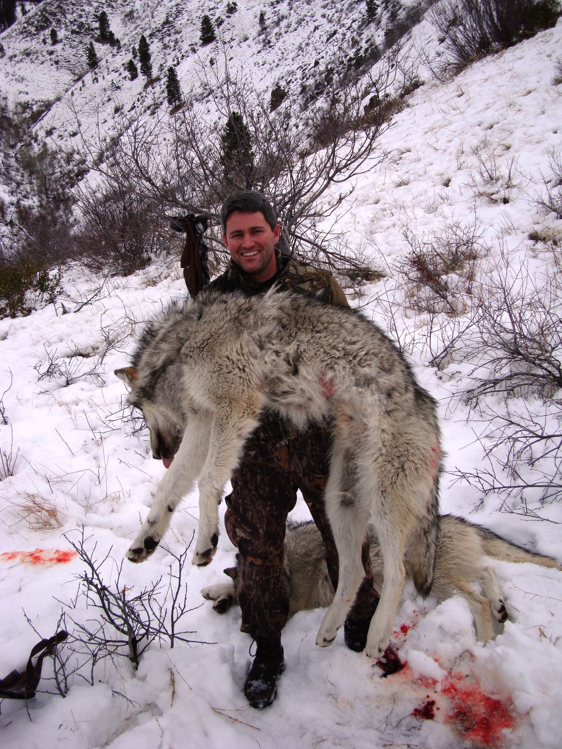 Brent Martell with an Idaho wolf.