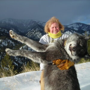 Idaho Wolf Hunt