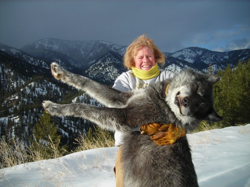 Idaho Wolf Hunt