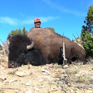 Utah bison hunting in the Henry Mountains