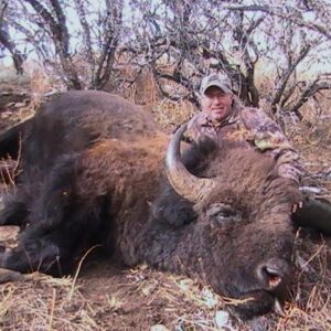 Utah bison hunting