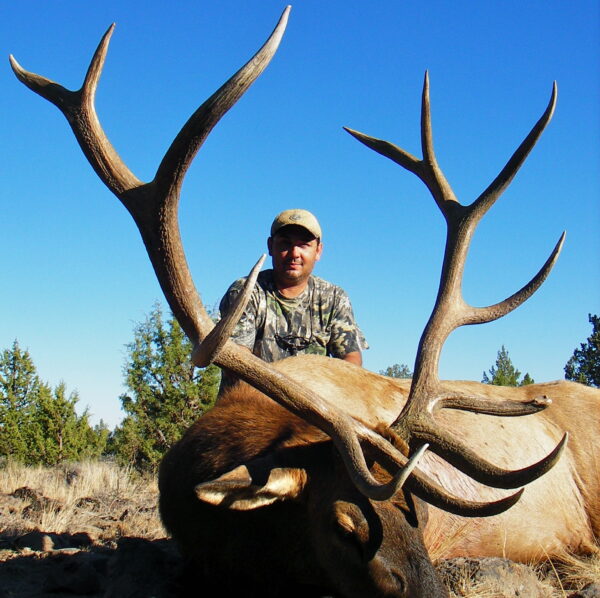 oregon elk hunting